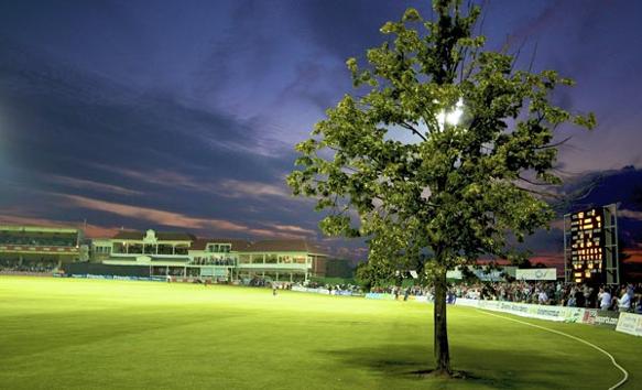 lime tree at canterbury spitfire ground kent cricket