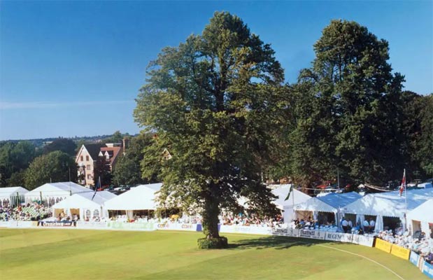Old-Lime-Tree-Canterbury-Cricket-week-Spitfire-Ground-Kent-CCC