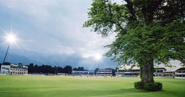 Old-Lime-Tree-Spitfire-Ground-Kent-cricket-boundary